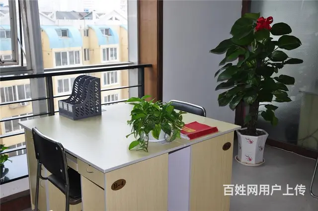 每月299元，烟台写字间即可拎包办公 - 图片 3