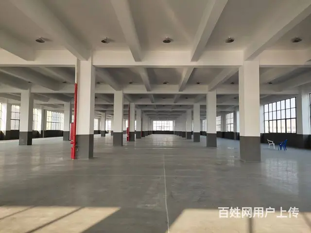 高品质厂房 全新国土独立产权 独栋分层厂房 - 图片 5