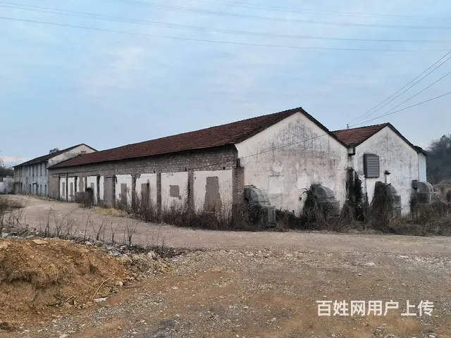 诸暨城西陶朱街道1100平方米、层高6米厂房出租 - 图片 4
