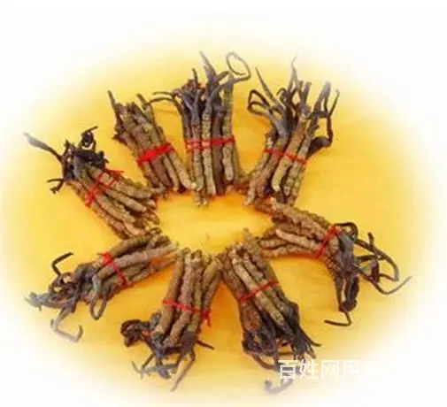 越秀冬虫夏草回收正规店铺-越秀回收虫草价格咨询商家 - 图片 2