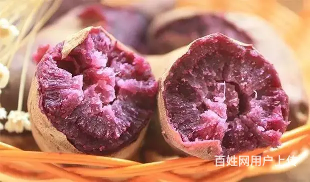 宏鸿食材配送-紫薯 - 图片 2