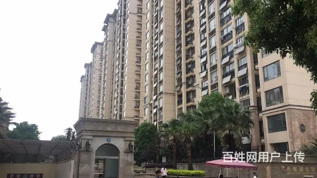 香蜜湖公馆大平层193平带储藏室，欧式装修，118 - 图片 11