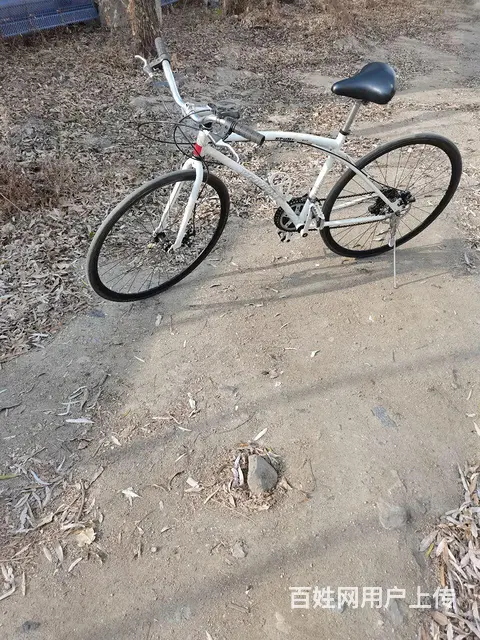 碟刹公路自行车 - 图片 2
