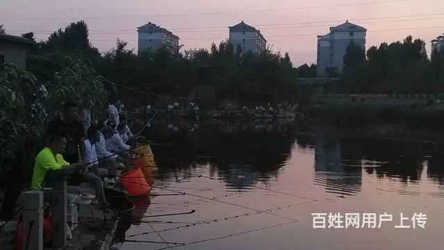 淄川白庙垂钓园出租 - 图片 3