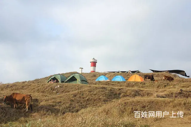 厦门到火山岛镇海角包车专车 - 图片