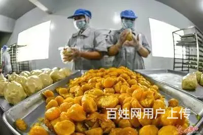 新西兰出国打工需要多少钱，建筑工司机农场工厂普工 - 图片 1