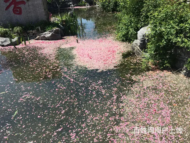 大年30～初7招聘 - 图片