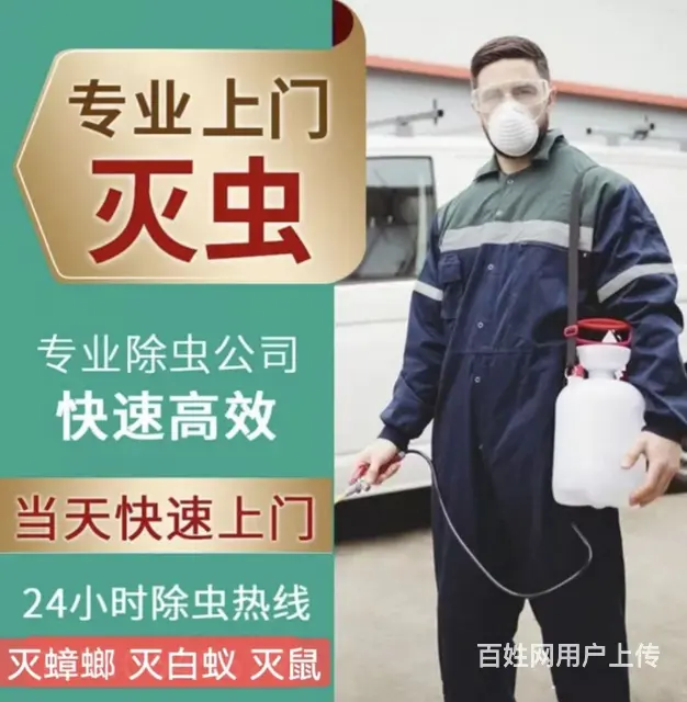 厦门除虫灭鼠，灭蟑螂，灭书虱，灭白蚁防治 - 图片