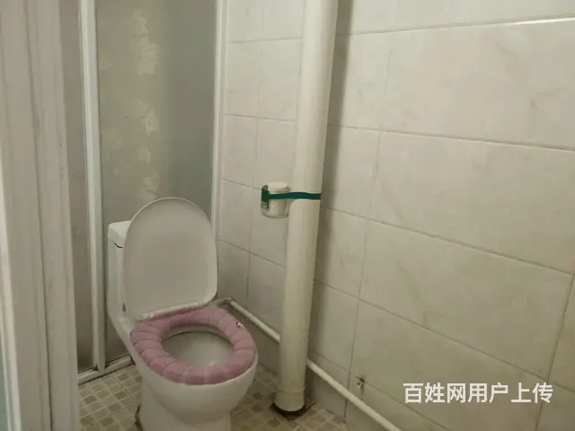 房子出租 - 图片 3