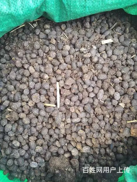 羊粪有机肥 - 图片 4