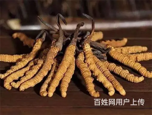 天河冬虫夏草回收价格-天河回收礼盒装虫草咨询 - 图片 12