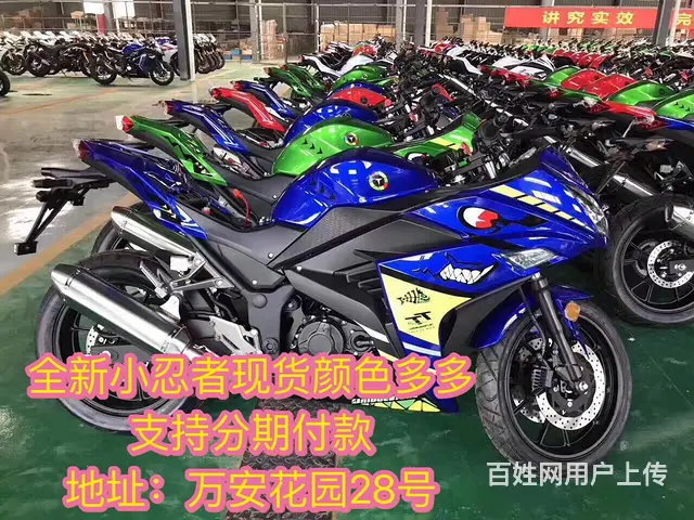 赛版r2，鬼火，北极光，助力车等等款式多多，支持办 - 图片 10