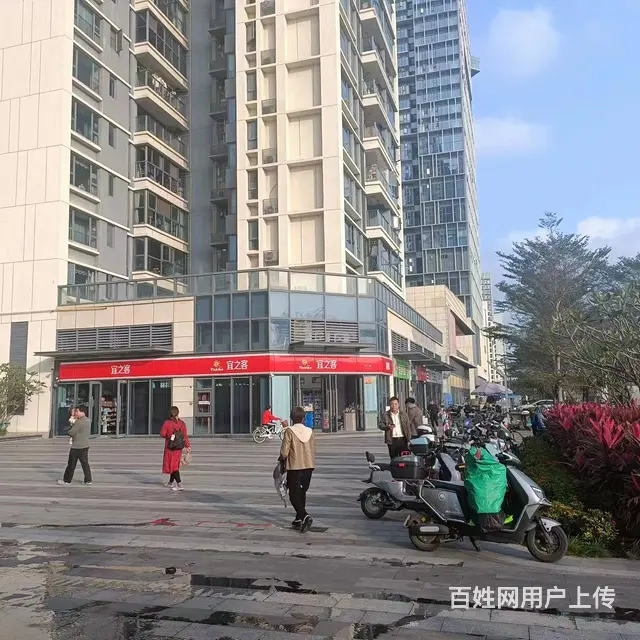 (51旺铺推荐）保利中央海岸淳境小区旁56平旺铺招租 - 图片 9