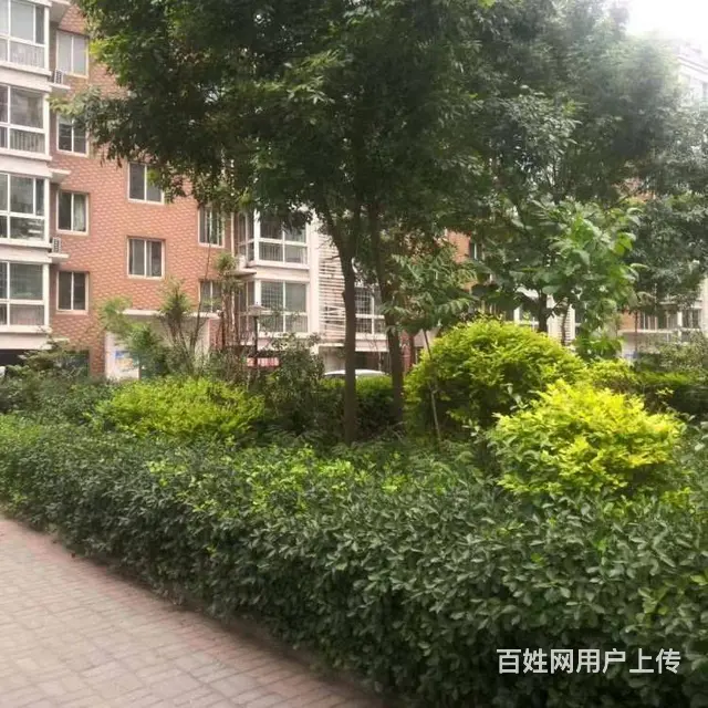 银都花园 一楼 三室两厅 出门儿童公园 - 图片 9