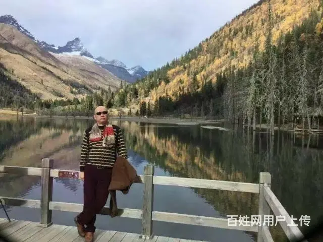 证婚 - 图片 3