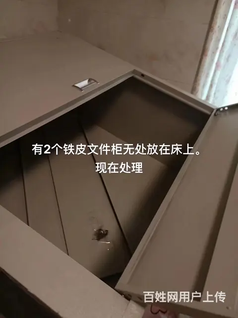 2个文件柜处理家里所有物品新 - 图片 3
