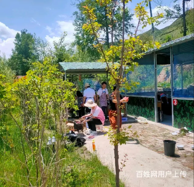 7825（七P）个人湟中区上新庄龙腾休闲庄生意火爆个人原因转 - 图片 3