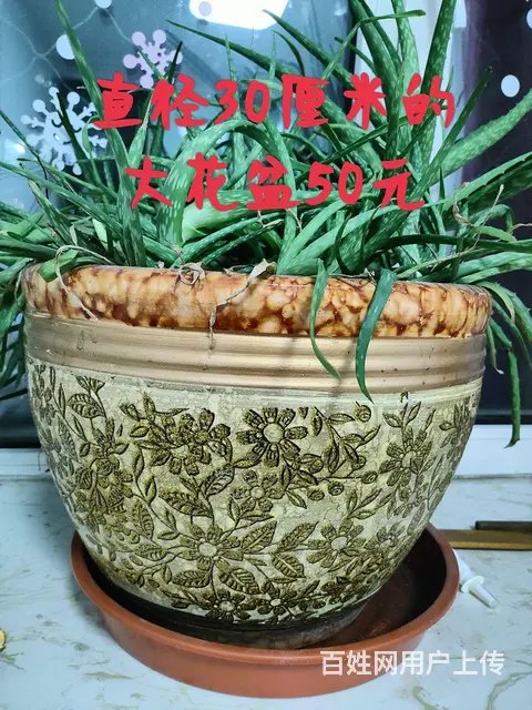 搬家急卖  都是九成新以上的物品 - 图片 6