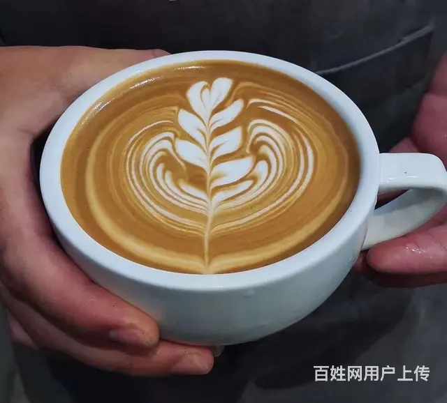苏州吴中新家桥附近咖啡师考级专业培训学校 - 图片 3
