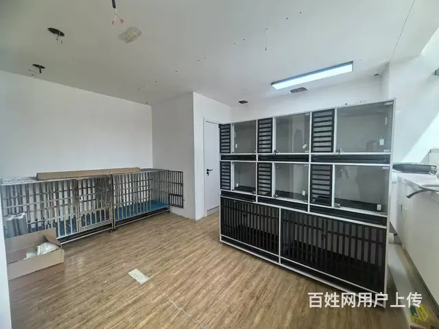 营盘街旺地精装自助宠物美容店出兑 - 图片 4