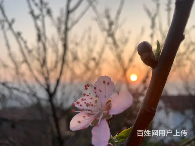 江津东胜避暑房 - 图片 3