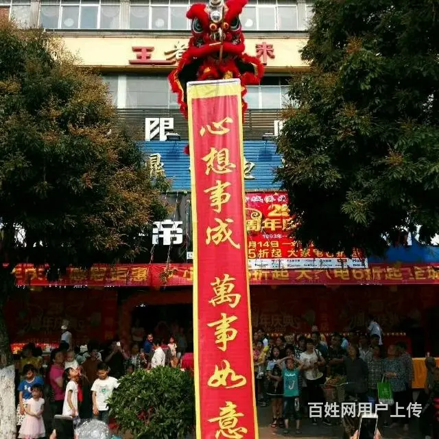 防城港市专业舞龙舞狮 - 图片 3