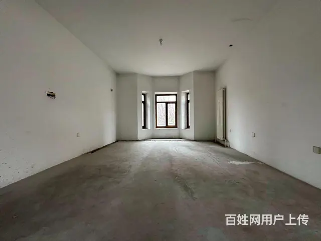 群力四合院墅 独栋 双拼 类独栋多套户型 超底价格 - 图片 11