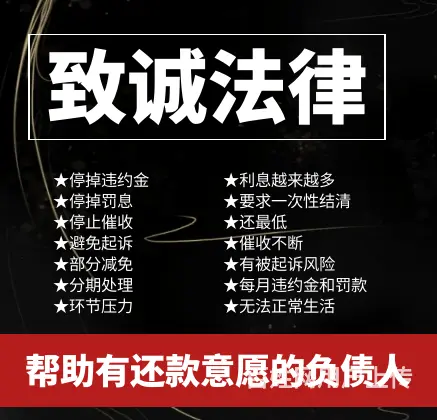 淄博*网贷延期还款专业团队 - 图片 1