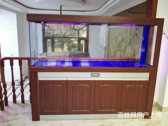 {苏州鱼乐天地水族}专业鱼缸清洗鱼缸养护，上门服务 - 图片 10