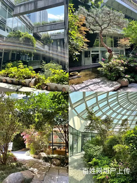 杭州东站地铁口 花园式办公 东溪德必易园 精装户型 交通便利 - 图片 8
