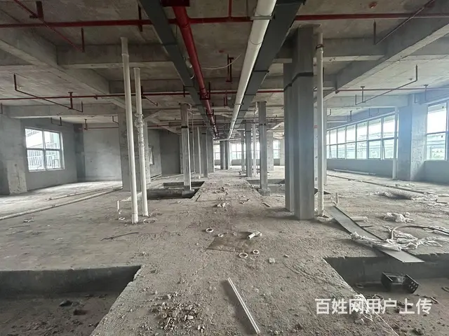 （老板本人）湘域国际广场临街商业综合体招租6842 - 图片 6