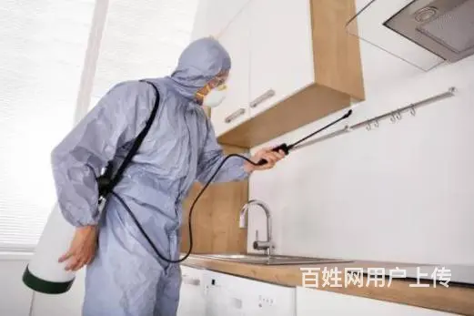 广州灭白蚁公司，去除白蚁窝，家里除白蚁 - 图片 7