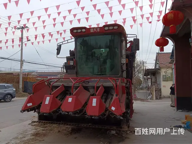 24年金大丰双收 - 图片 2