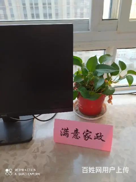本人自己想找一周搞一到二次卫生的活 - 图片