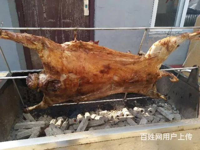 专业上门烤全羊，烧烤上门服务 - 图片 6