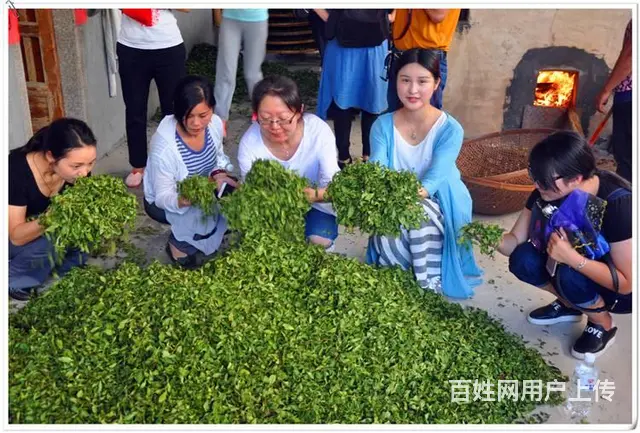 茶艺培训哪里好？天晟茶艺培训学校如何 - 图片 8
