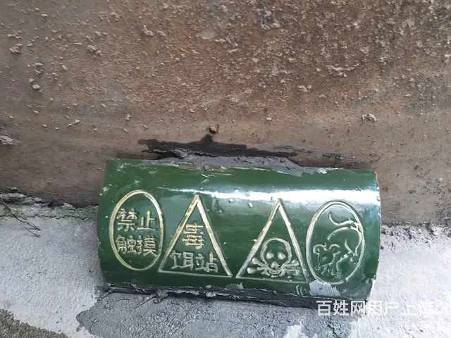 双峰县专业灭老鼠灭蟑螂灭白蚁等 - 图片 9