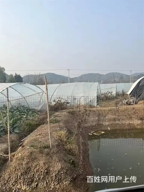 中江县通济镇140亩土地出租 - 图片 6