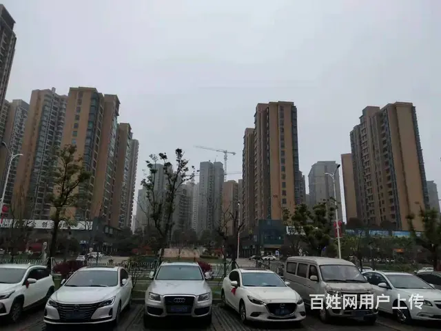 （老板本人）望城区砂之船附近精装修公寓房低价出租 - 图片 8