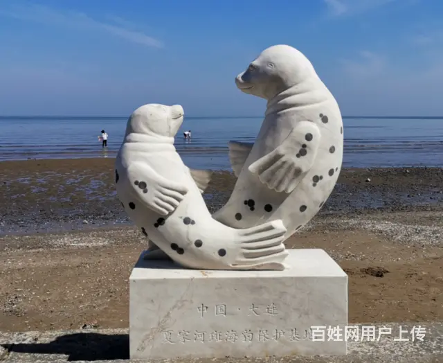 动物雕塑#石雕海豹 - 图片 2