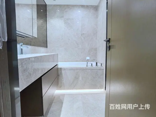 绿城留香园精装3房万科大都会东方御府滨江绿城江河鸣翠带车位 - 图片 10