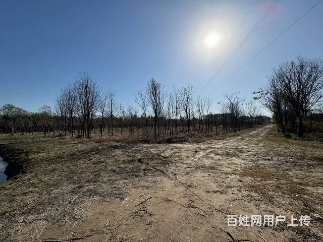 （徐州找店网）北区38亩鱼塘和土地出租 - 图片 5
