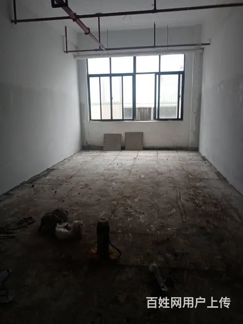 （51旺铺推荐）金花农贸市场55平旺铺招租 - 图片 2