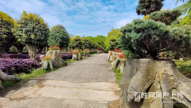 常州团建、真人CS、温泉年会、拓展训练、室内团建 - 图片 5