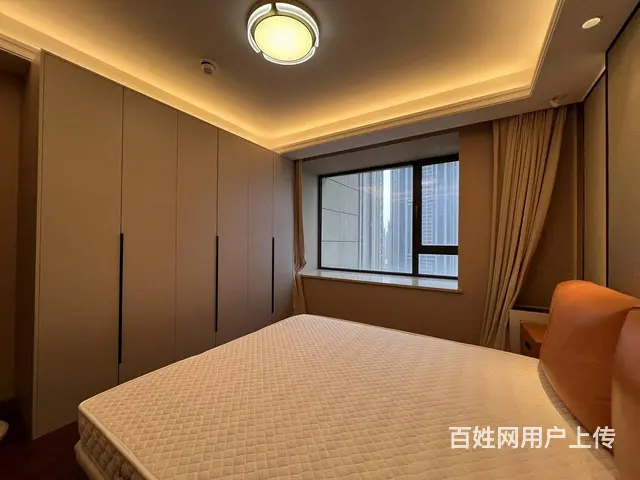 海珀滨江，带梯控，隐私性较好，绿地缤纷城，万象城边 - 图片 6