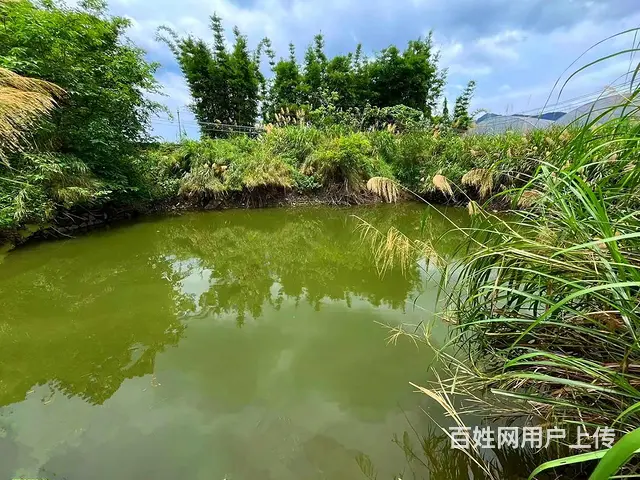 从化区吕田有15亩建设用地3000平方厂房整体转让 - 图片 4