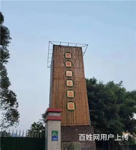广州天河末亲子户外班级夏令营烧烤野炊自驾游 - 图片
