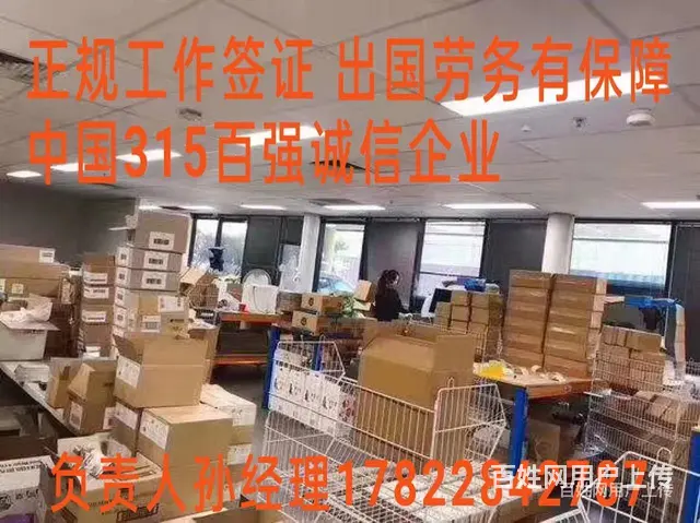 北海出国劳务一手项目0费用雇主保签包吃住诚招代理 - 图片