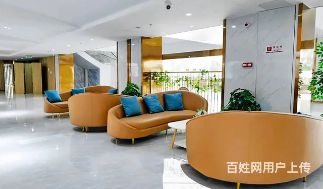 广州美术集训，你有预选的画室了吗？来这里看看不亏 - 图片 5