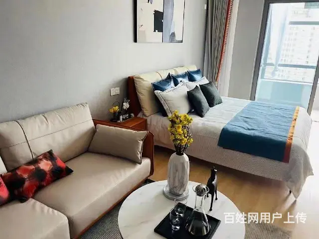 单价6999起，劳动西路现房公寓！带独立阳台，运河天地 - 图片 6